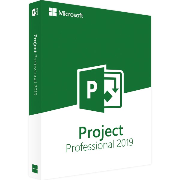 Microsoft Project 2019 Professional | voor Windows