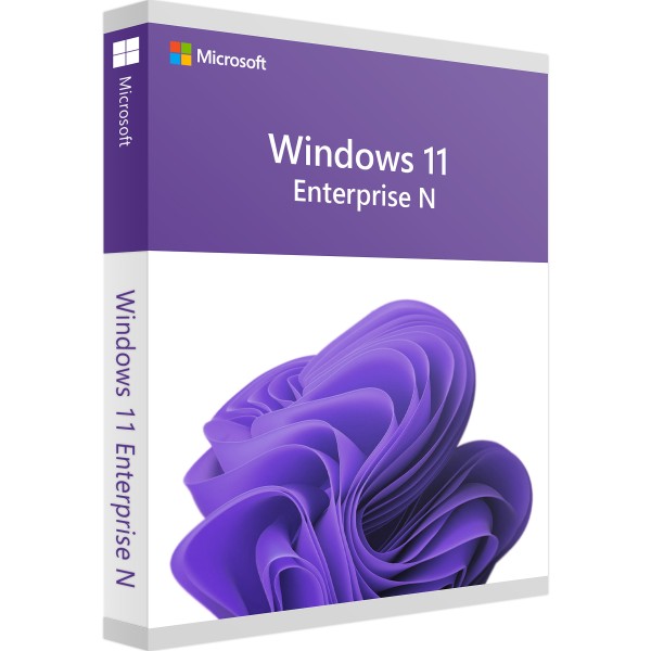 Windows 11 N Onderneming
